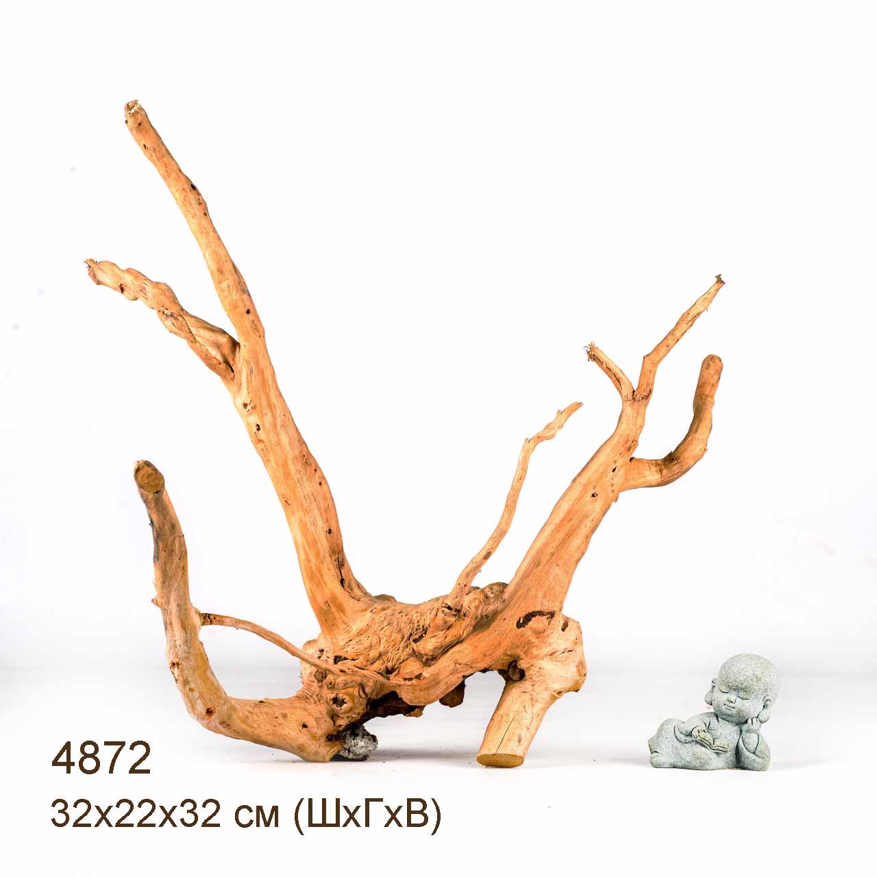 Коряги КОРЕНЬ АЗАЛИИ - S