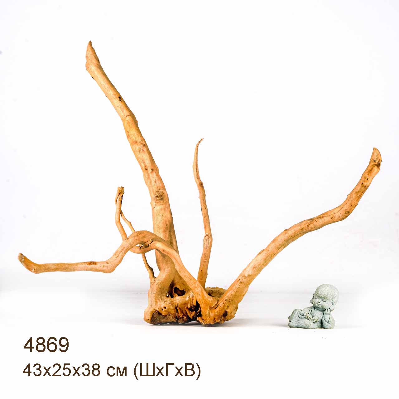 Коряги КОРЕНЬ АЗАЛИИ - S