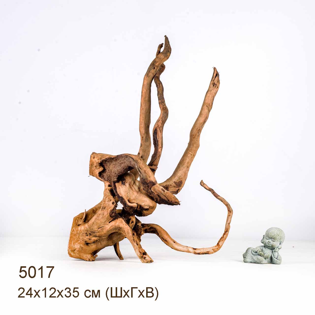 Коряги КОРЕНЬ АЗАЛИИ - S > Коряга MASHA BLOOM Корень азалии S - 4959 ...