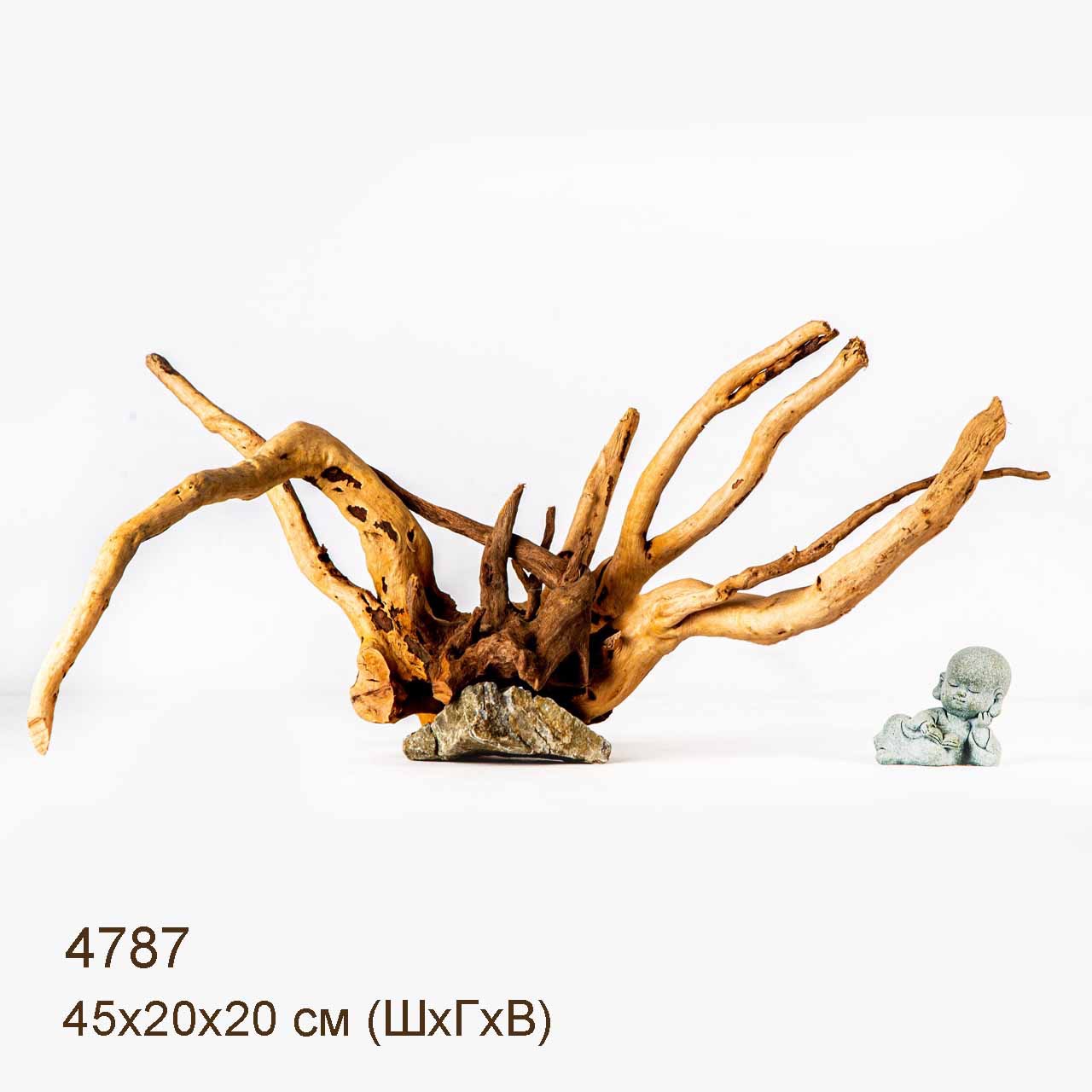 Коряги КОРЕНЬ АЗАЛИИ - M > Коряга MASHA BLOOM Корень азалии M - 4609 ...