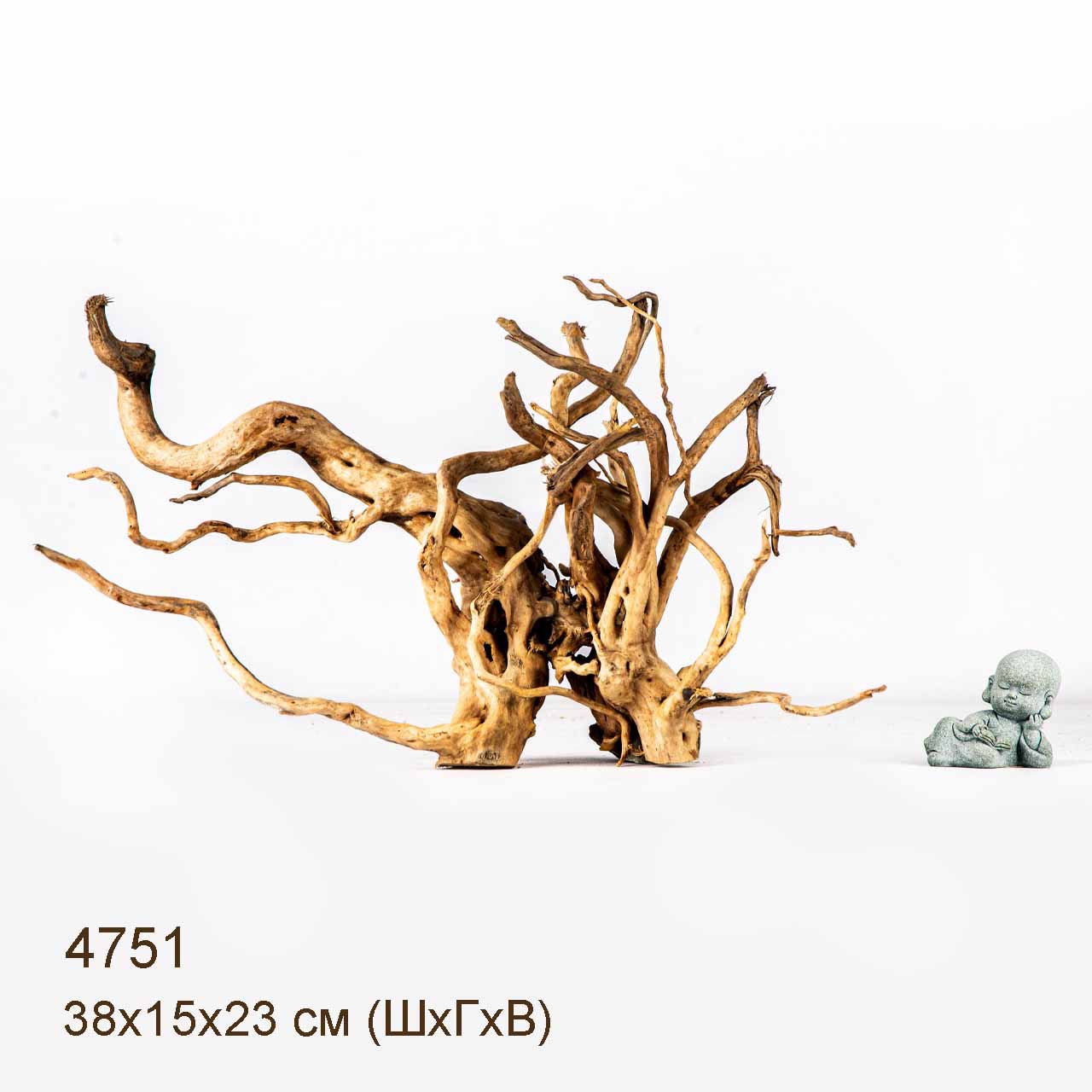 Коряги КОРЕНЬ АЗАЛИИ - M > Коряга MASHA BLOOM Корень азалии M - 4649 ...