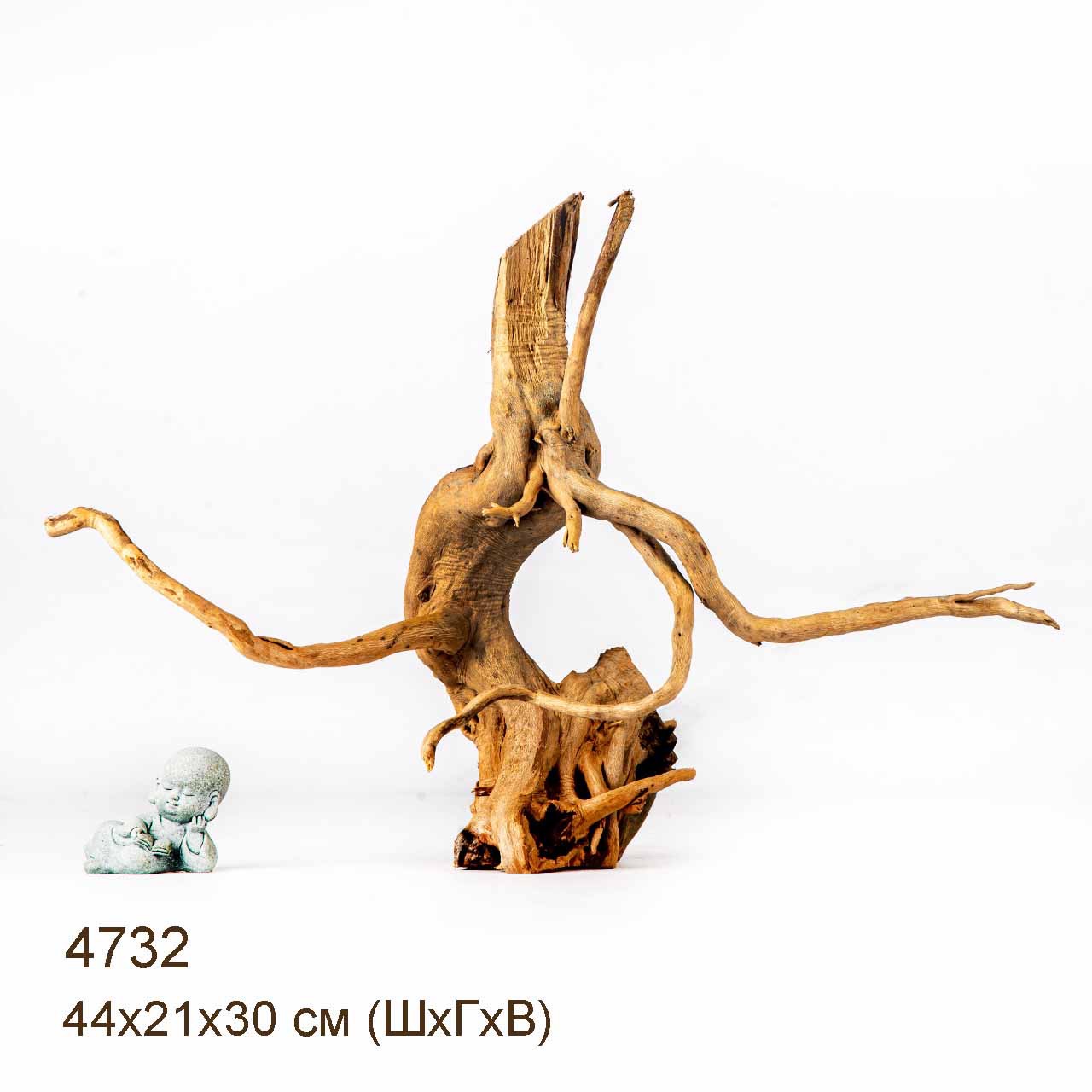 Коряга MASHA BLOOM Корень азалии M - 4732