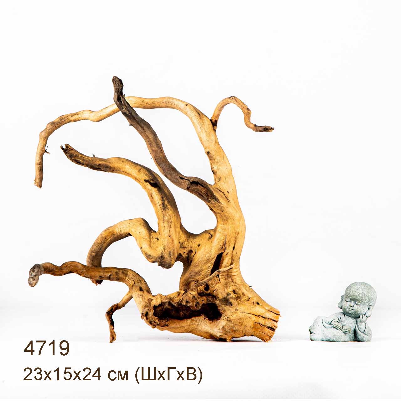 Коряги КОРЕНЬ АЗАЛИИ - M > Коряга MASHA BLOOM Корень азалии M - 4682 ...