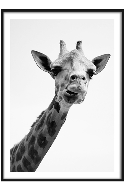 постеры в детскую | Giraffe art, Giraffe, Giraffe pictures