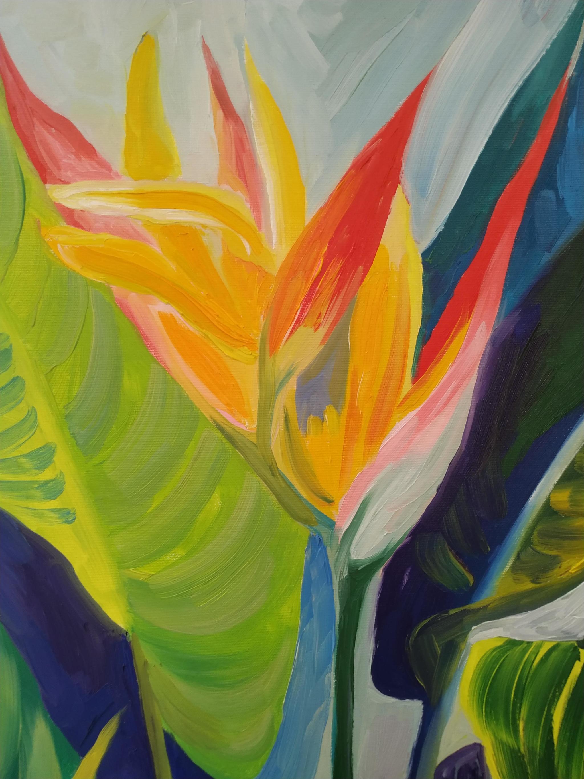 Tropics