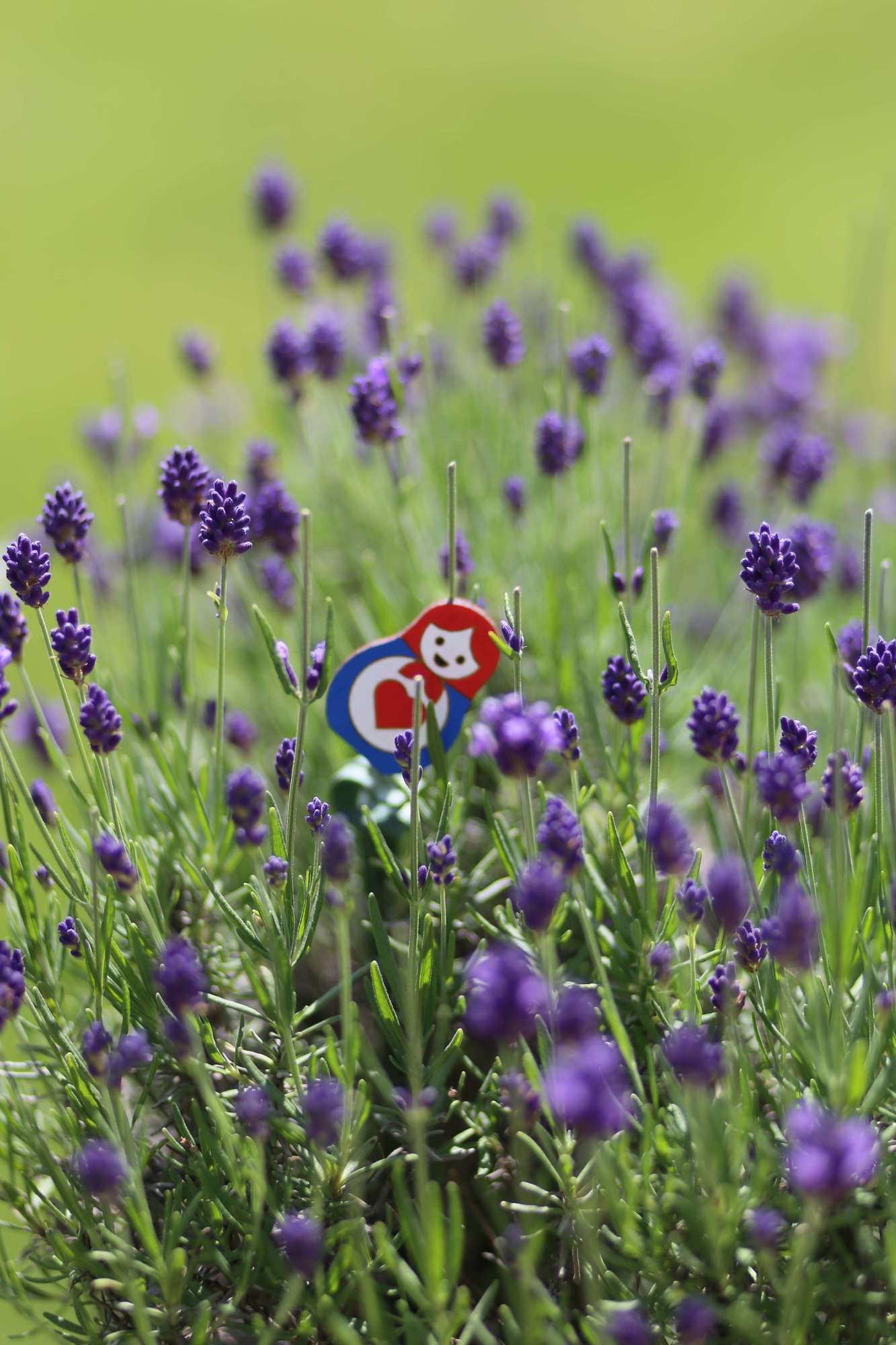 Broche "Poupée Russe"