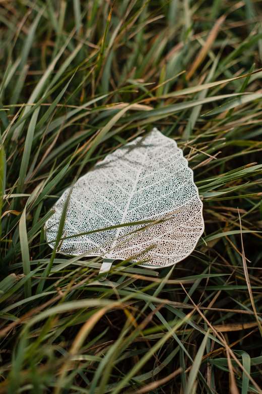 Сито для чаю Листочок