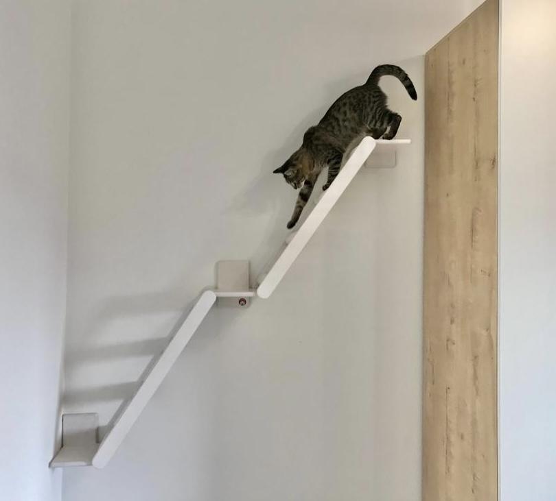 Лестницы для кошек: изобретения любящих хозяев