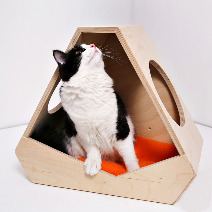 Домик для кошек на даче (68 фото)