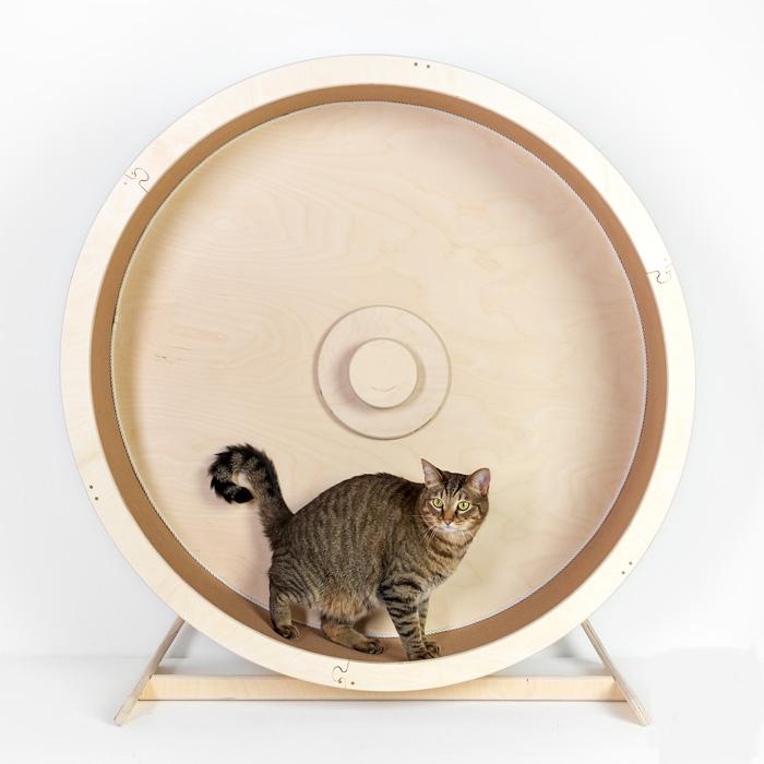 «Забава» настенное беговое колесо для кошек