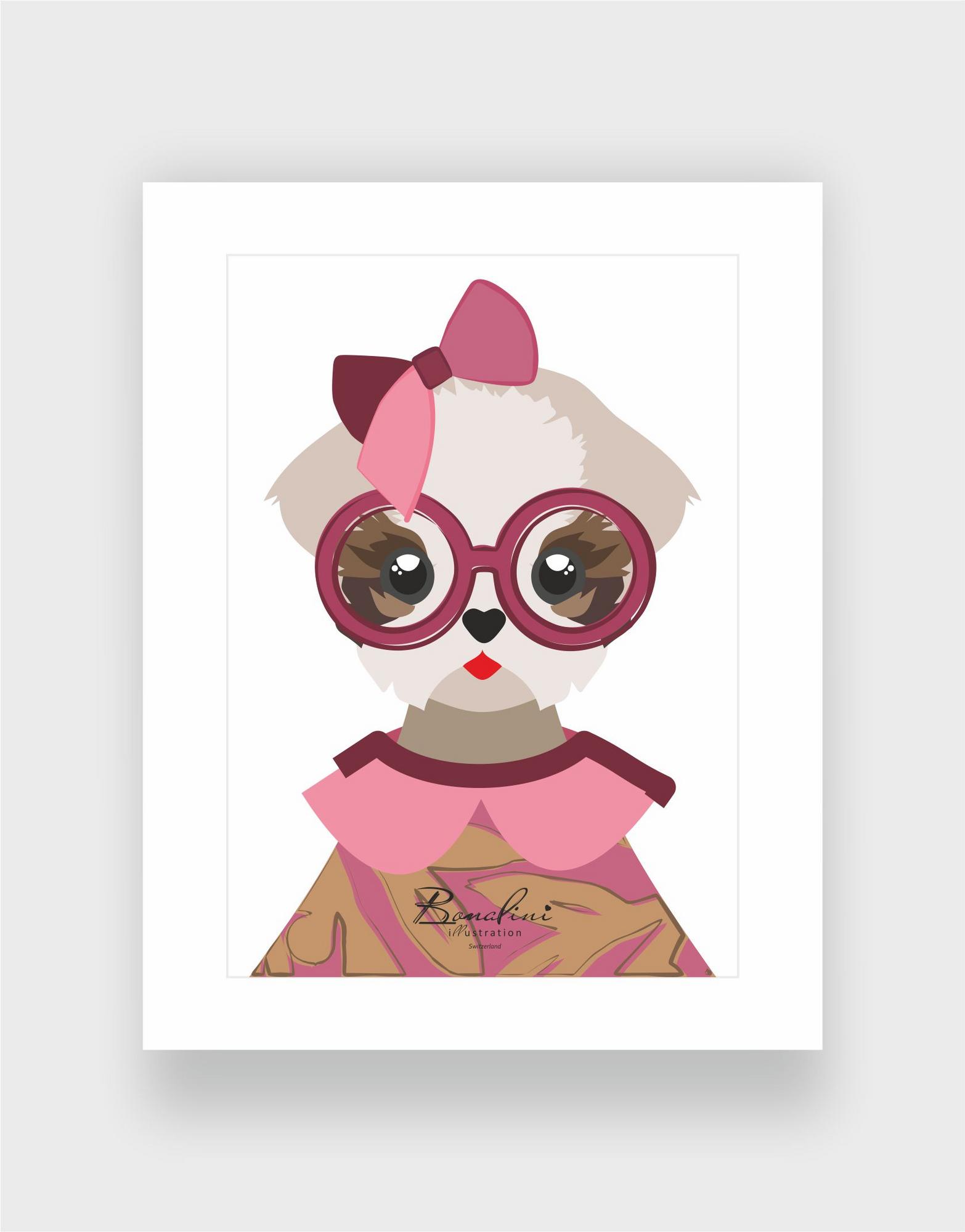 Gabriella The Shih Tzu