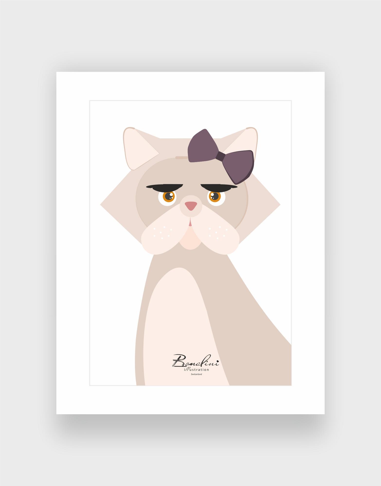 Cleo The Persian Cat