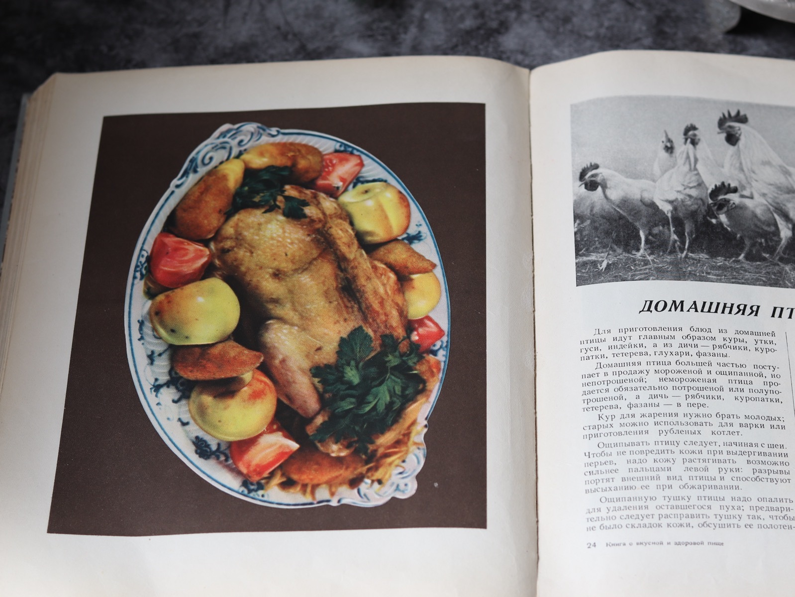Книга о вкусной и здоровой пище. г. PDF