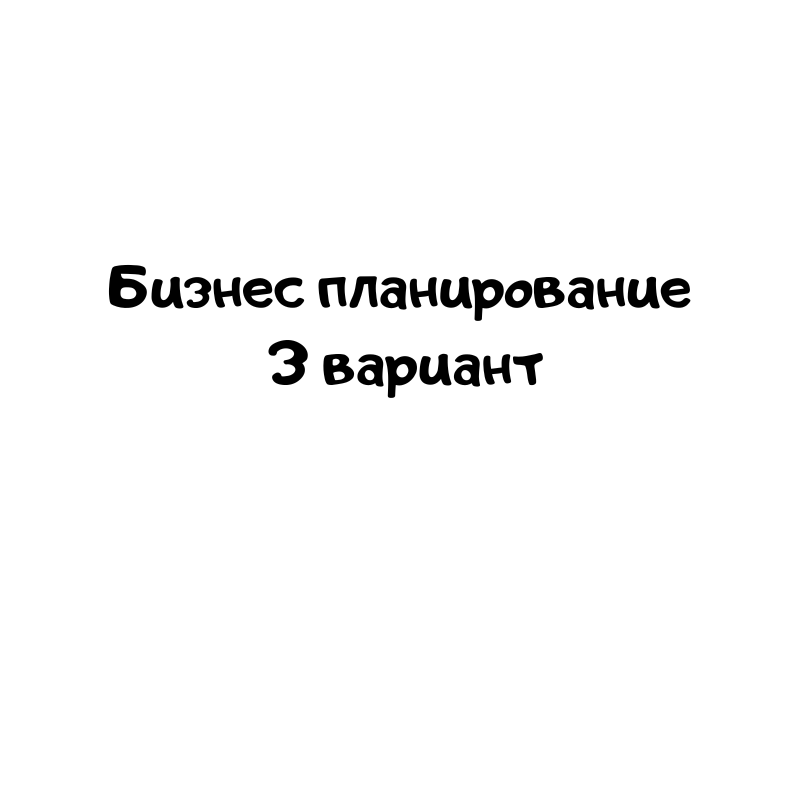 Бизнес планирование 3 вариант