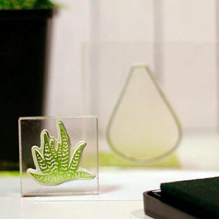 {N066} Stamp Set "Succulents in bulb"