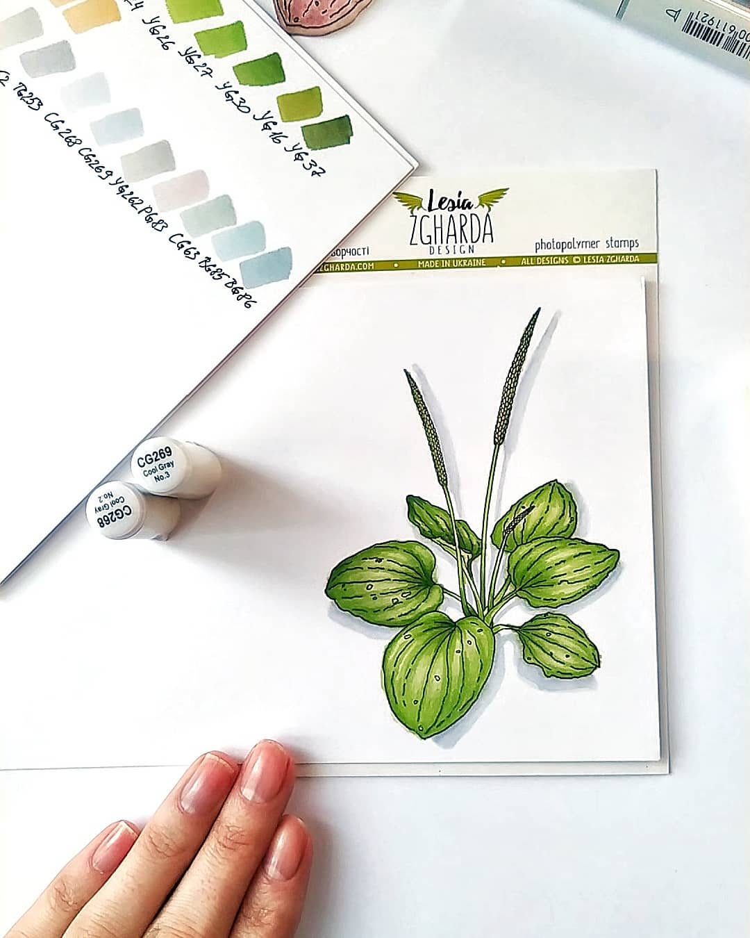 {FL260} Stamp Set "Plantain plant"