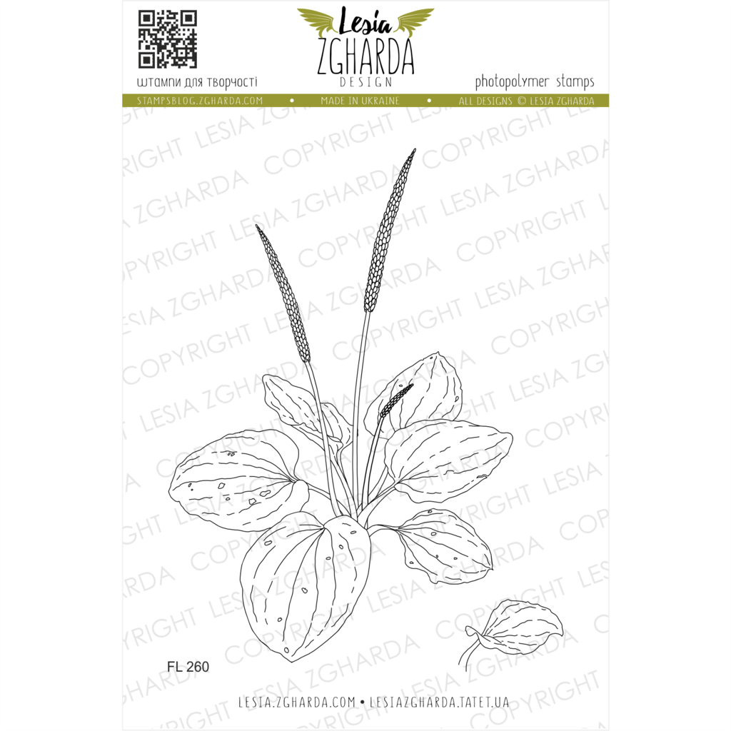 {FL260} Stamp Set "Plantain plant"