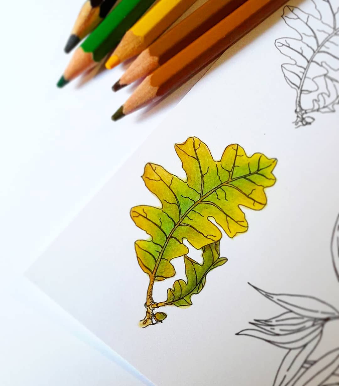 {FL276} Stamp "Oak leaf (large)"