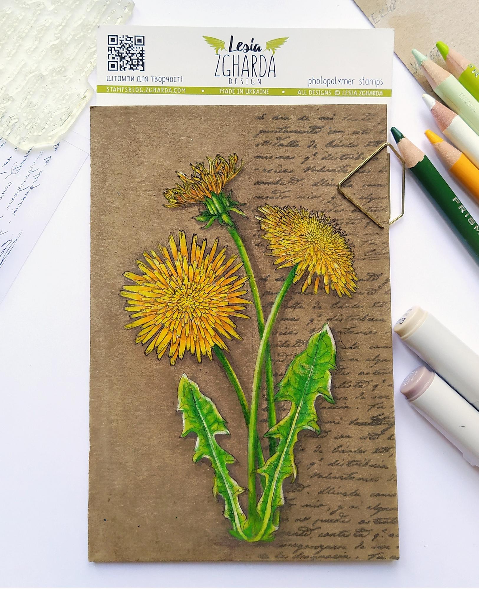 {FL301} Stamp Set "Dandelion"