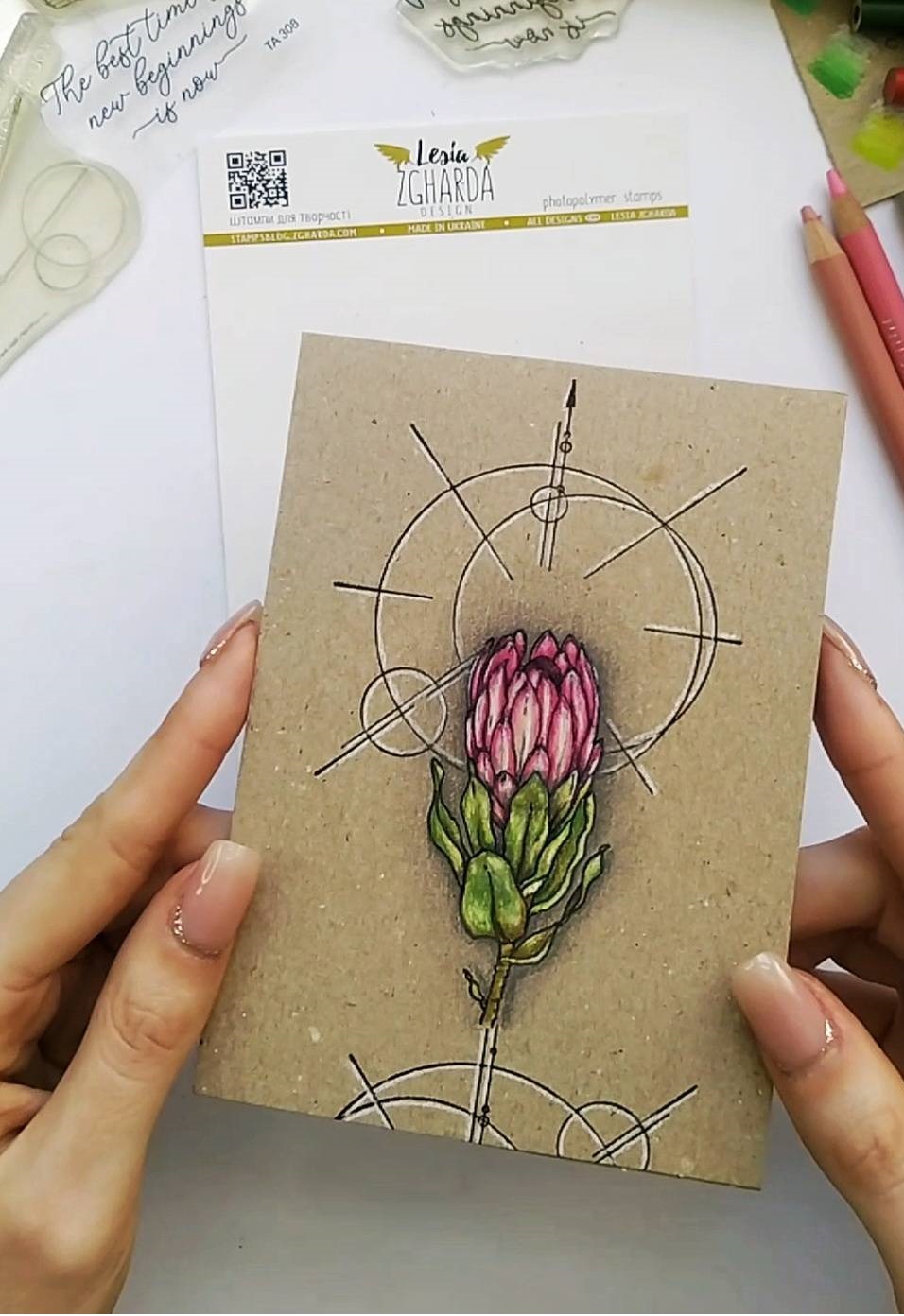 {FL335} Stamp "Protea flower on a stalk"