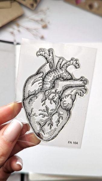 Human heart stamp Lesia Zgharda clear stamps