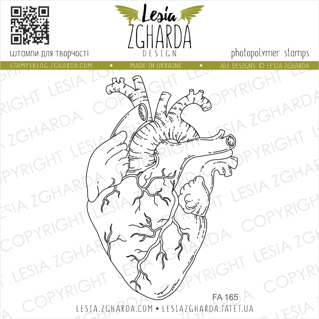 Human heart contour stamp Lesia Zgharda clear stamps