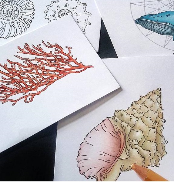 {S015} Stamp "Coral contur"