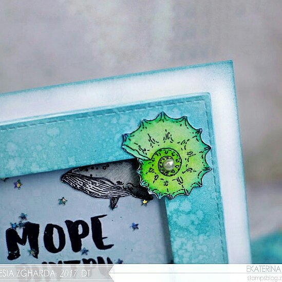 {S017} Stamp Set "Big Ammonites"