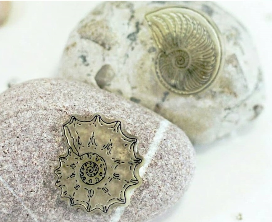 {S018} Stamp Set "Small Ammonites"