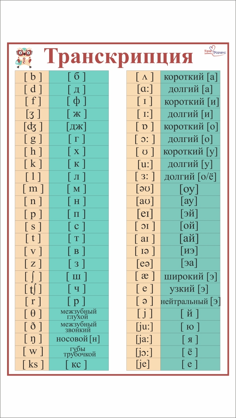 Звуки транскрипции. Транскрипция плакат. Poster транскрипция. Звук j транскрипция. Долгий звук в транскрипции русского языка.
