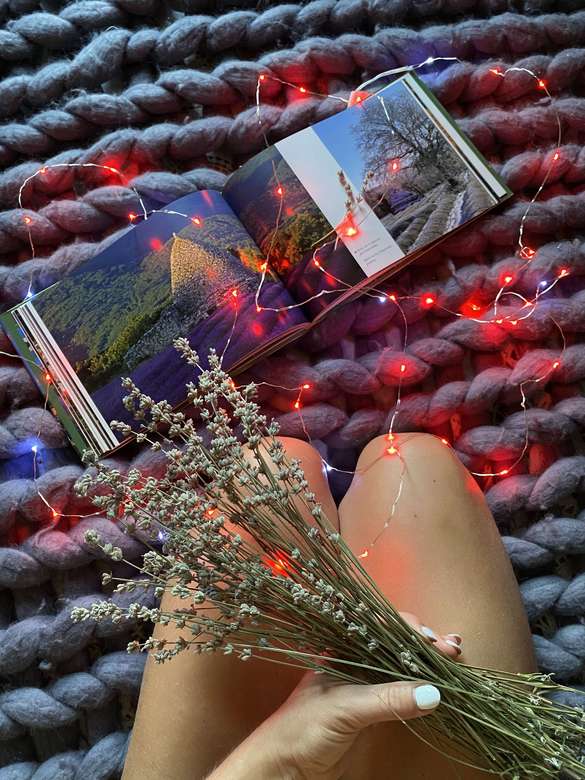 Мікролед "Єлісейскі Поля"