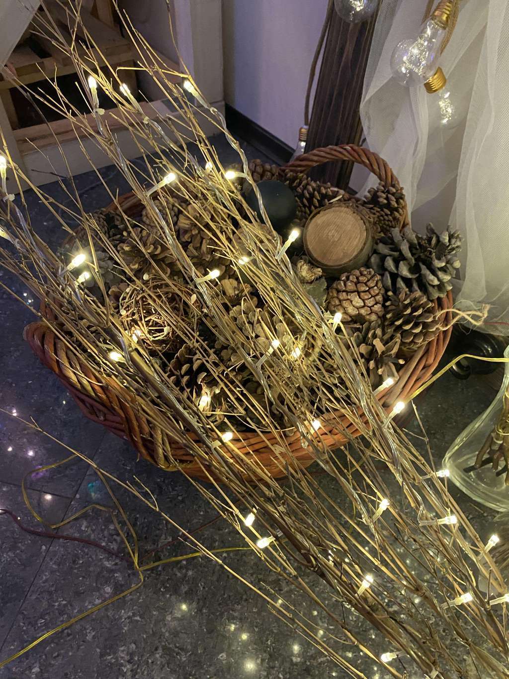 Лоза декоративна