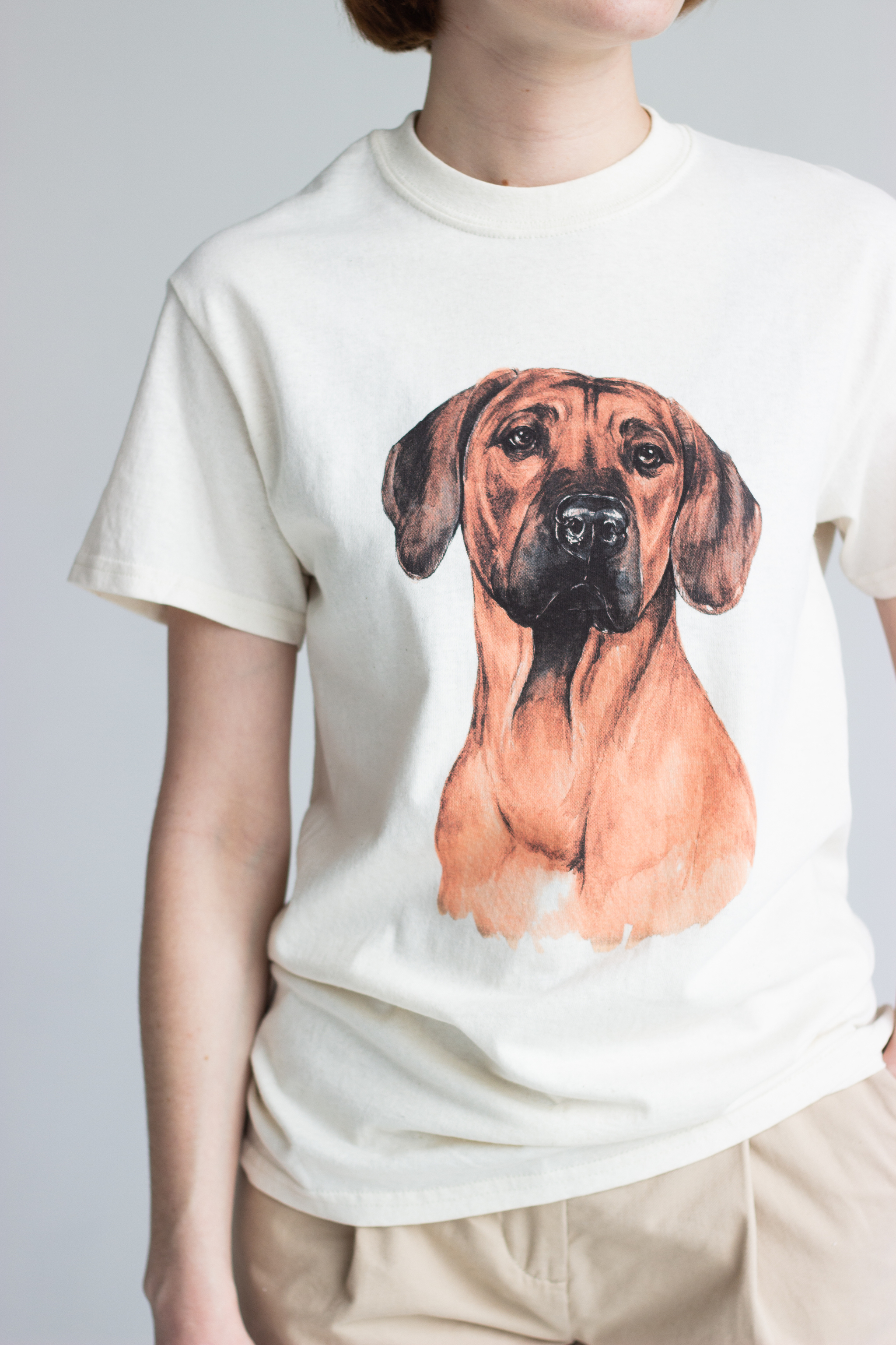 Интернет-магазин одежды для собак и аксессуаров
