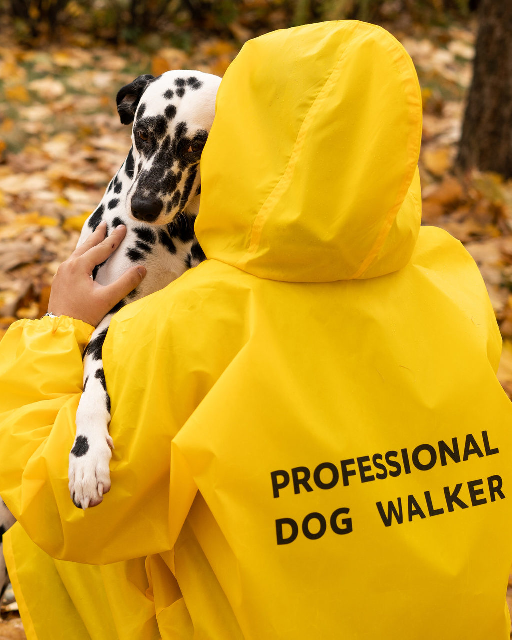 Dog sale walker jacket