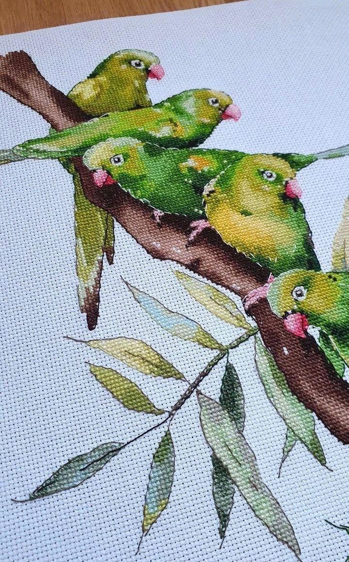 Схема вышивки попугай