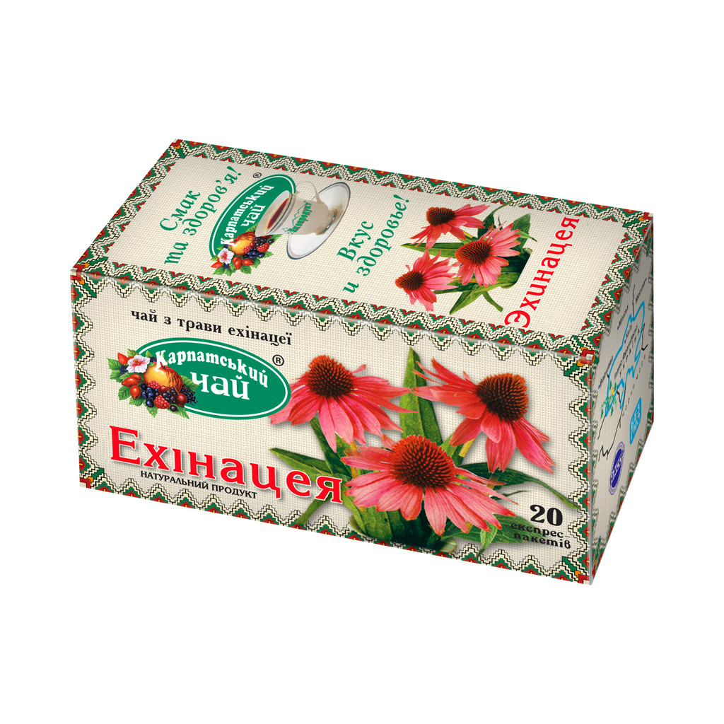 Carpathian tea Echinacea