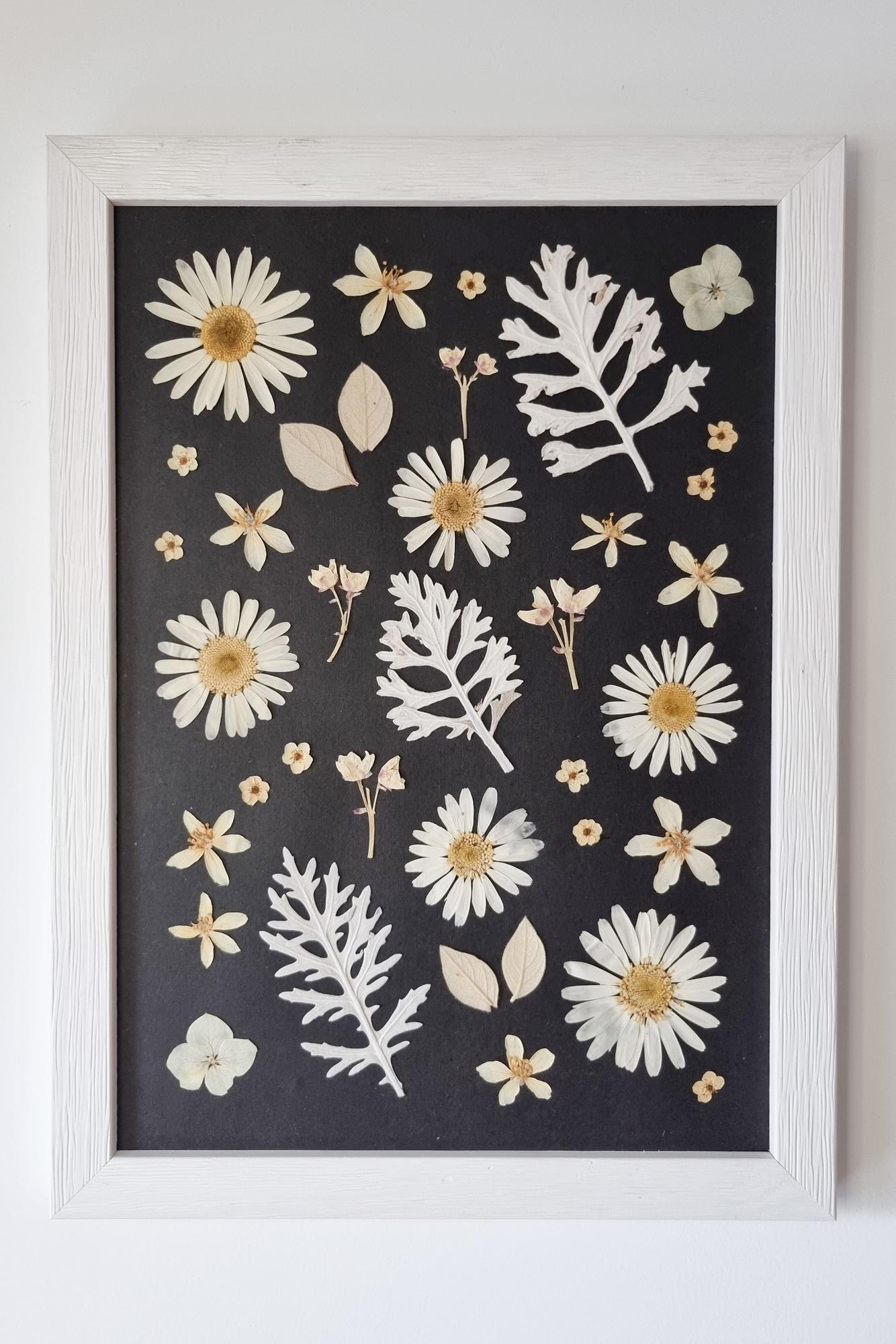 Herbier blanc sur noir