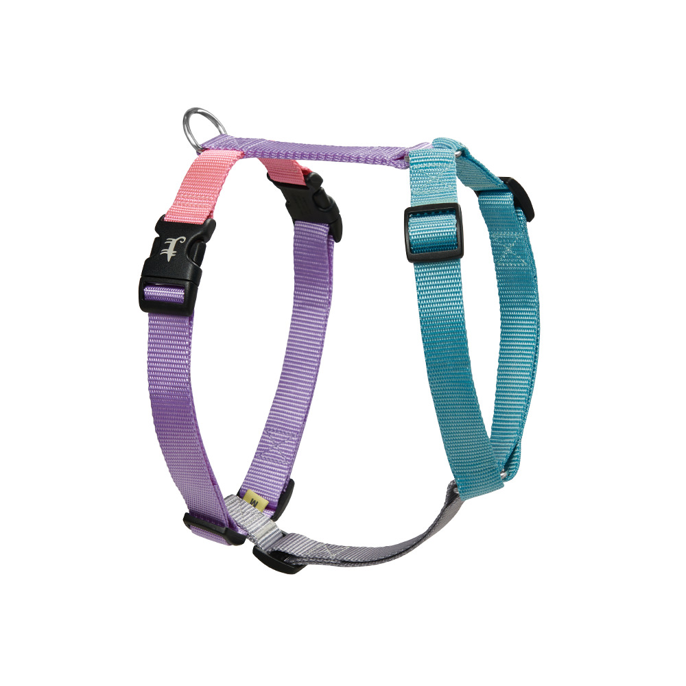 Harness LOLLIPOP
