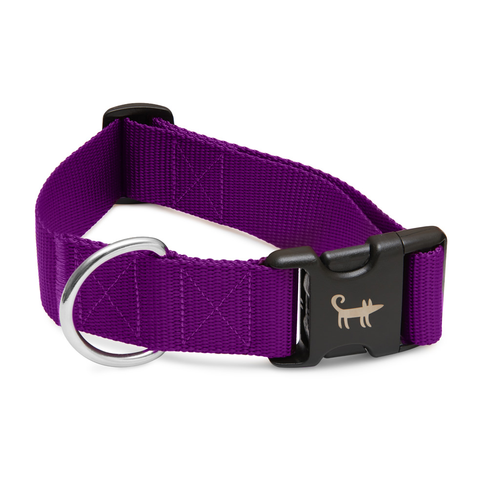 Collar PURPLE (wide)