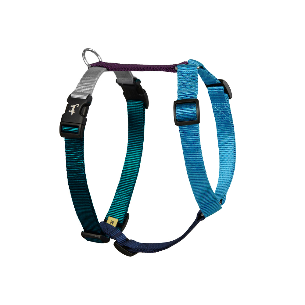 Harness DOUBLEMINTY