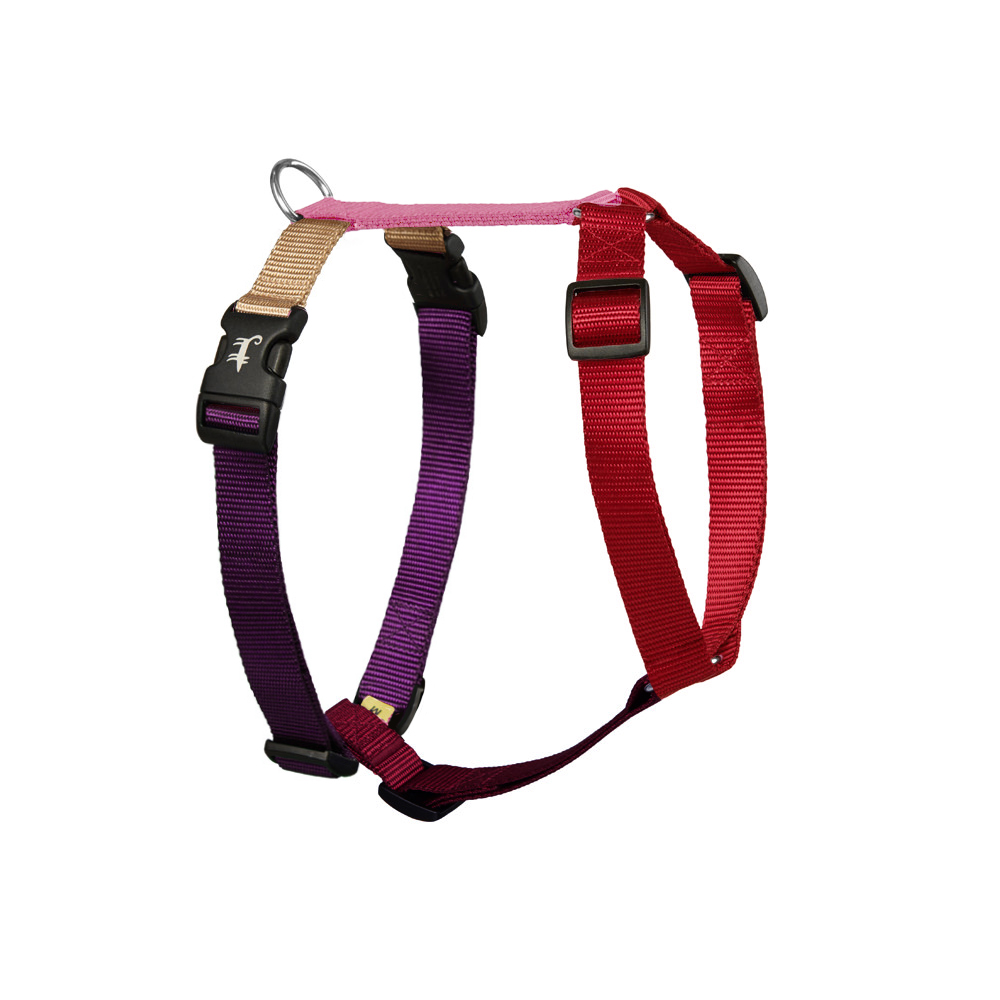 Harness BUBBLEGUM
