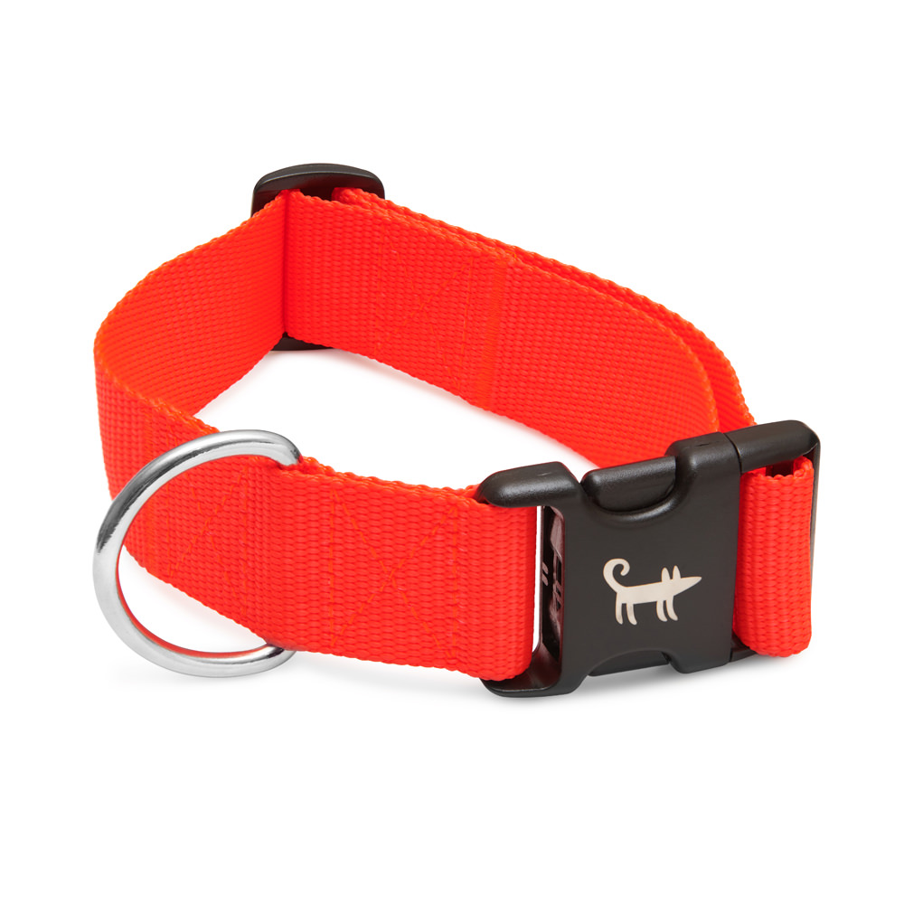 Collar NEON ORANGE (wide)