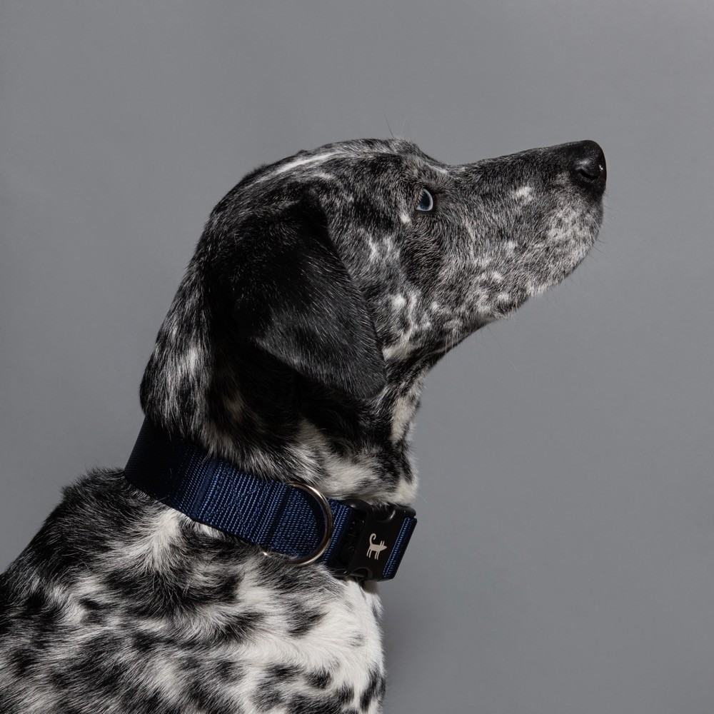 Collar NAVY (wide)