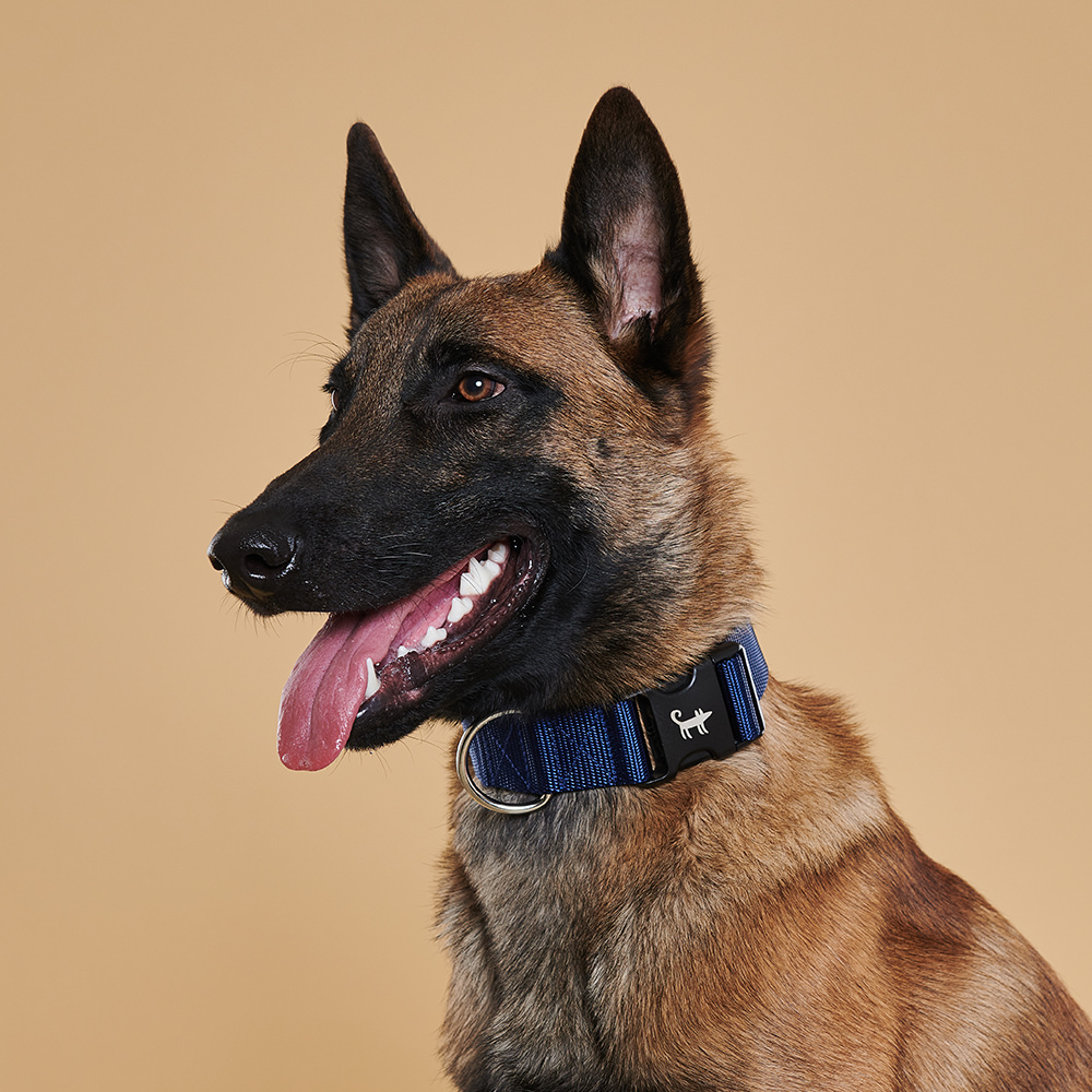 Collar NAVY (wide)