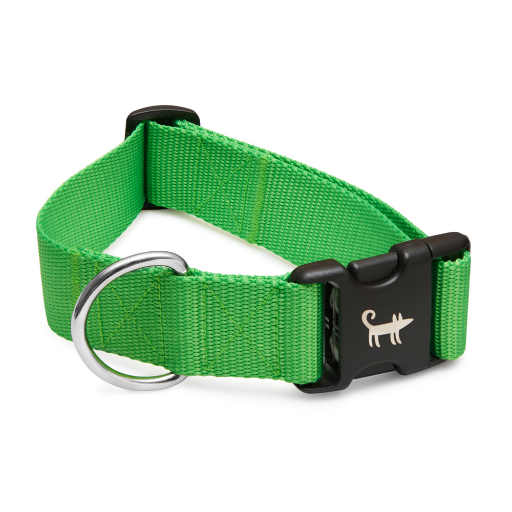 Collar NEON GREEN (wide)