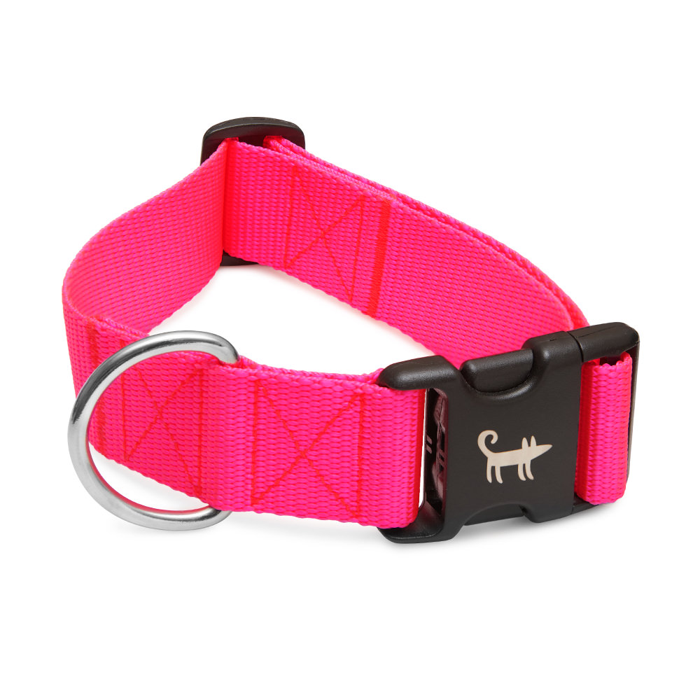 Collar NEON PINK (wide)
