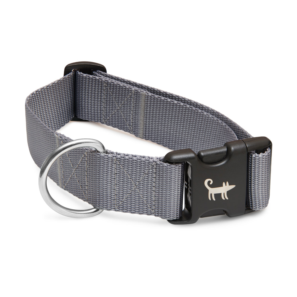 Collar SILVER (wide)