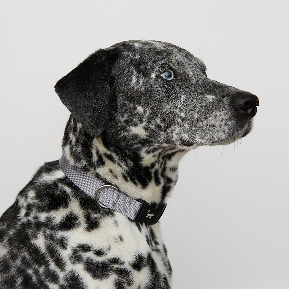 Collar SILVER