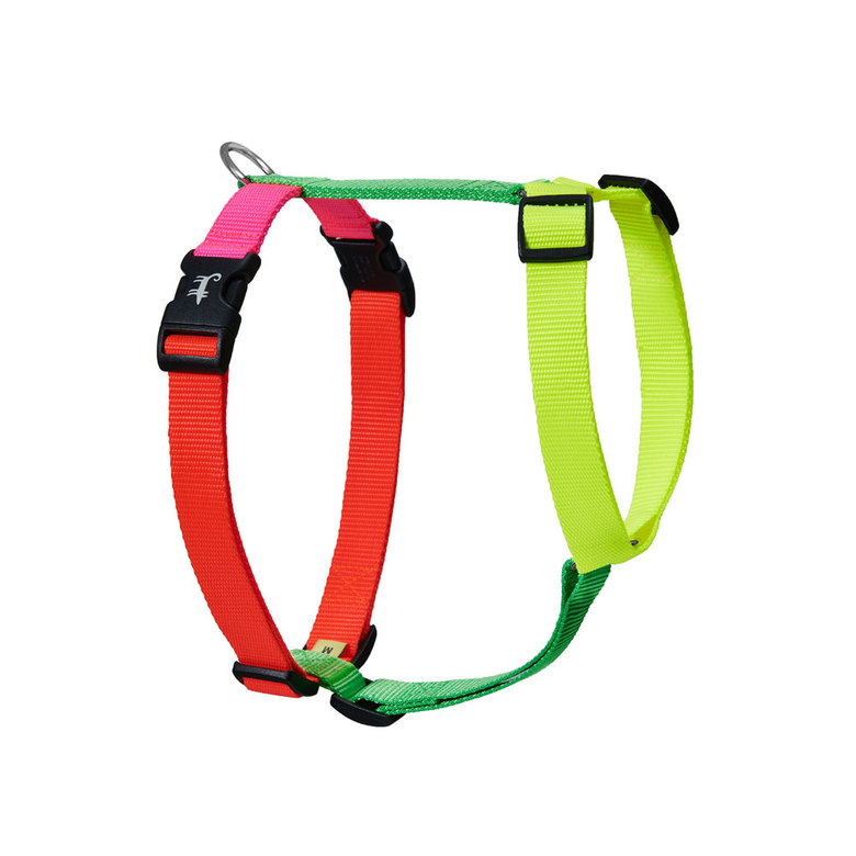 Harness NEON