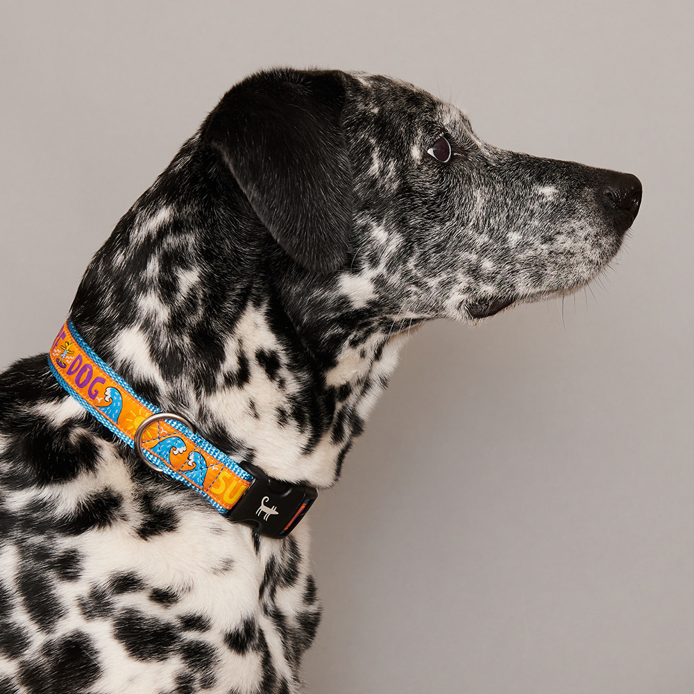 Collar SURF DOG